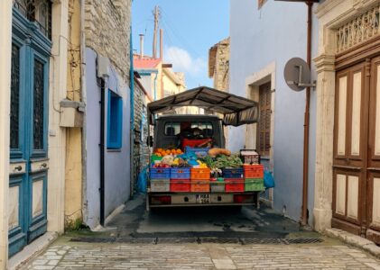 10 esencijalnih vitamina i minerala za Vaše telo